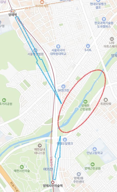 양재천 벚꽃 등 축제 위치